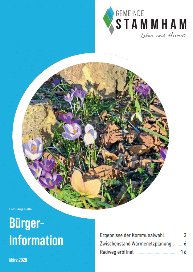 Titelseite BI März 2026